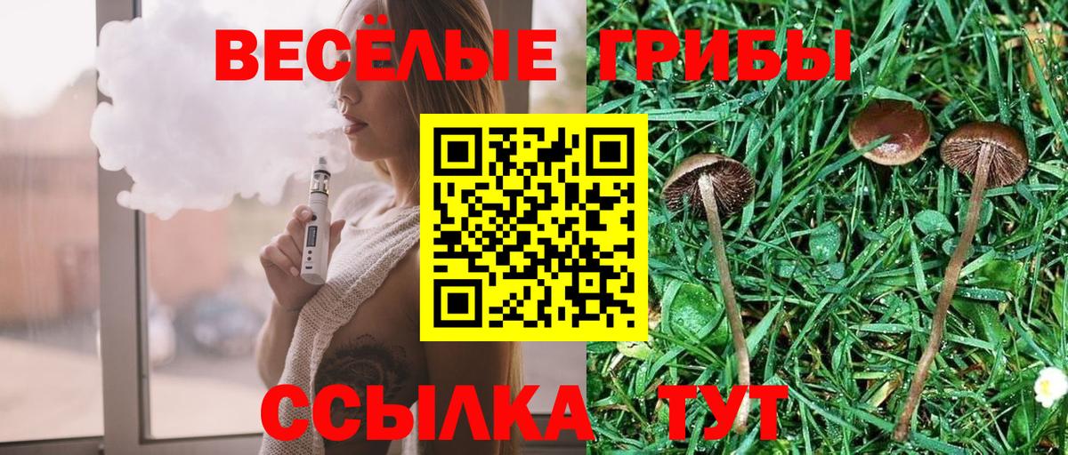 Галлюциногенные грибы MAGIC MUSHROOMS  Псилоцибиновые грибы Psilocybine cubensis  Вход с VPN  Россошь 