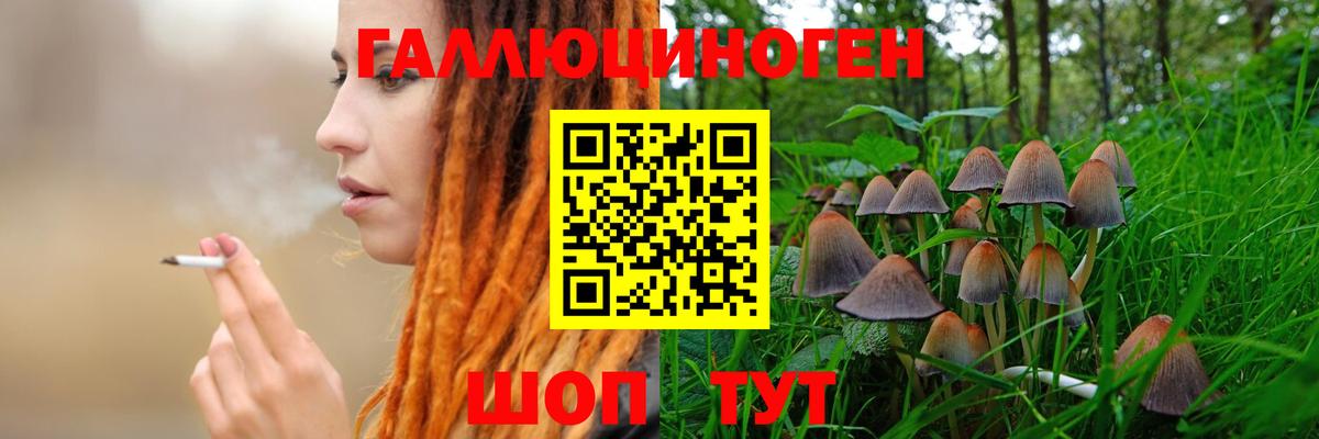 Галлюциногенные грибы Psilocybine cubensis Россошь